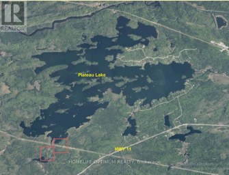 72 ACRES PLATEAU LAKE Rainy River Remote Area Ontario photo 9