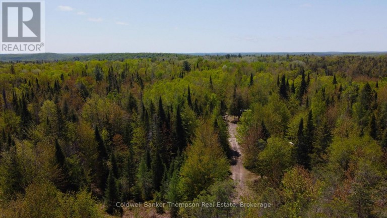 224 Madill Road, Armour, Ontario (id X13691114)