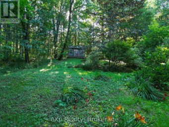272 BOWLES BLUFF ROAD Grey Highlands Ontario photo 28