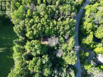 272 BOWLES BLUFF ROAD Grey Highlands Ontario photo 35