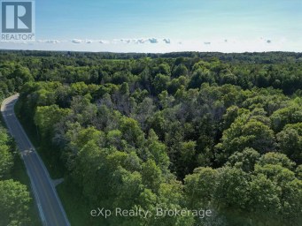 272 BOWLES BLUFF ROAD Grey Highlands Ontario photo 36