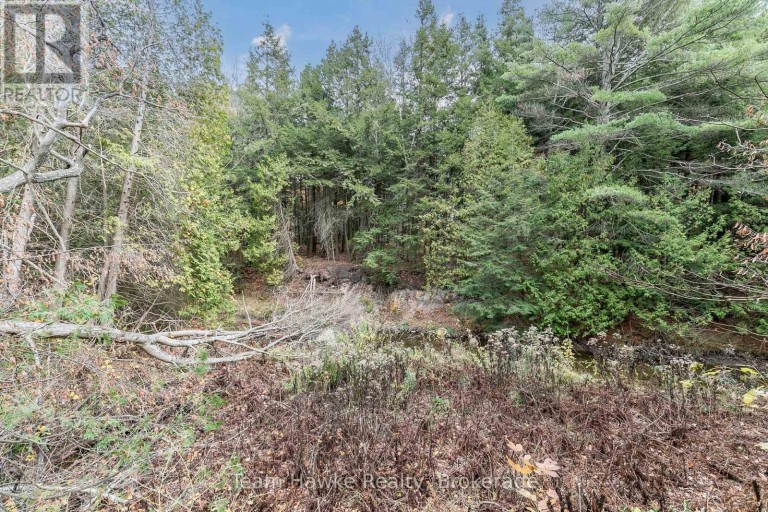 20 SCOTT LANE, Tiny, Ontario, L0L2J0