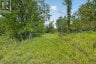 3854 COUNTY ROAD 6, Stone Mills (stone Mills), Ontario, K0L2H0 (ID X13693356)