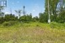 3854 COUNTY ROAD 6, Stone Mills (stone Mills), Ontario, K0L2H0 (ID X13693356)