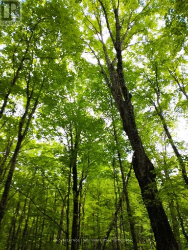 0 NORTH RUSAW ROAD, North Kawartha, Ontario, K0L1A0