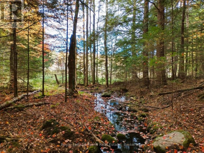 0 NORTH RUSAW ROAD, North Kawartha, Ontario, K0L1A0