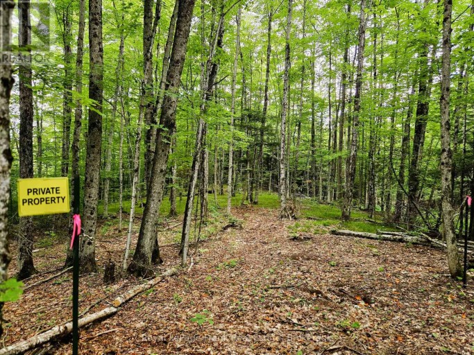 0 NORTH RUSAW ROAD, North Kawartha, Ontario, K0L1A0