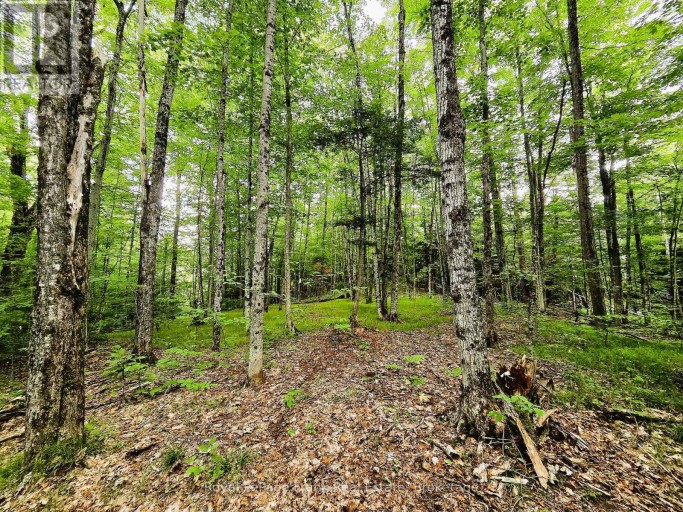 0 NORTH RUSAW ROAD, North Kawartha, Ontario, K0L1A0