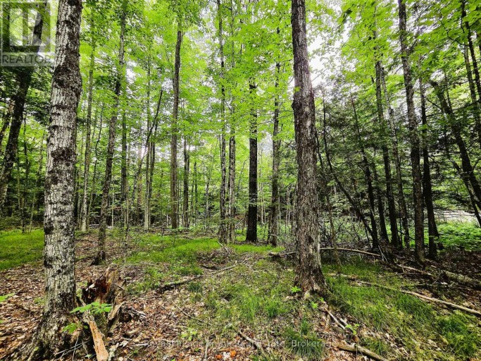 0 NORTH RUSAW ROAD, North Kawartha, Ontario, K0L1A0