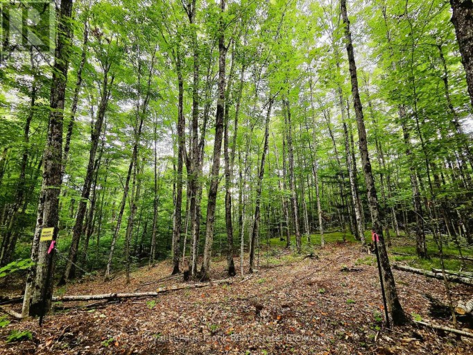 0 NORTH RUSAW ROAD, North Kawartha, Ontario, K0L1A0