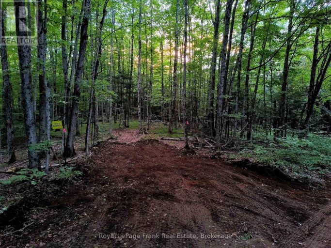 0 NORTH RUSAW ROAD, North Kawartha, Ontario, K0L1A0