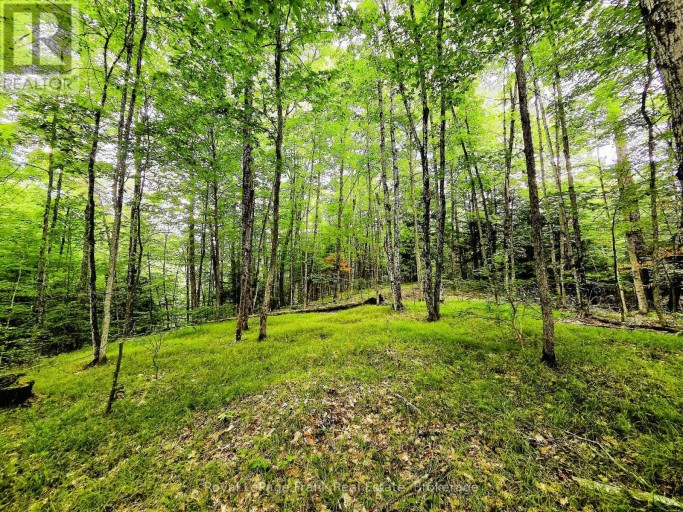 0 NORTH RUSAW ROAD, North Kawartha, Ontario, K0L1A0