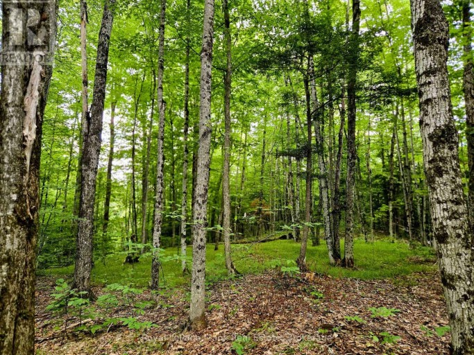 0 NORTH RUSAW ROAD, North Kawartha, Ontario, K0L1A0