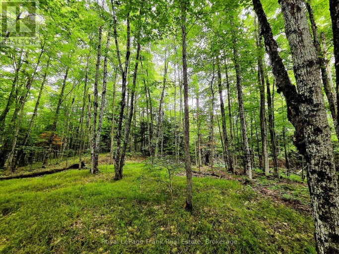 0 NORTH RUSAW ROAD, North Kawartha, Ontario, K0L1A0