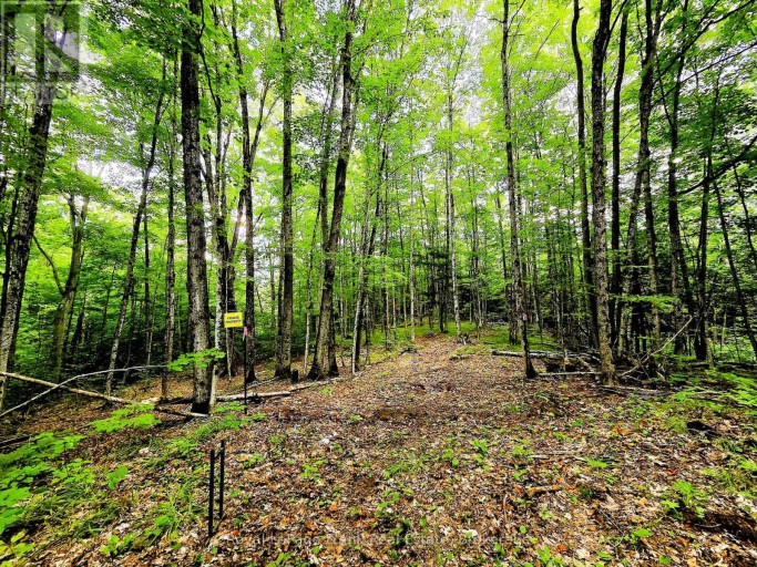 0 NORTH RUSAW ROAD, North Kawartha, Ontario, K0L1A0