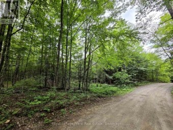 0 NORTH RUSAW ROAD North Kawartha Ontario photo 29