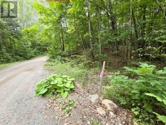 0 NORTH RUSAW ROAD North Kawartha Ontario photo 30