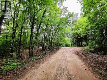 0 NORTH RUSAW ROAD North Kawartha Ontario photo 31