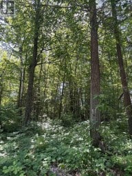 88 NADIA CRESCENT Tiny Ontario photo 1