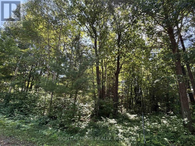 88 NADIA CRESCENT, Tiny, Ontario, L0L2T0