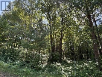 88 NADIA CRESCENT Tiny Ontario photo 3