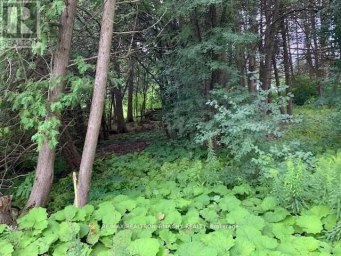 LT 19 RUE KAROLA Tiny Ontario photo 3