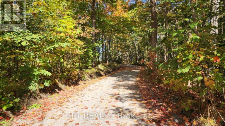 1764 BAY PARK ROAD, Severn, Ontario, L3V0V7
