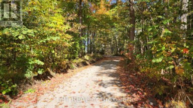 1764 BAY PARK ROAD Severn Ontario photo 23