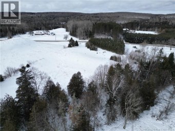 Route 385 Maple View New Brunswick photo 12