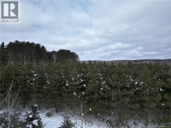 Route 385 Maple View New Brunswick photo 21