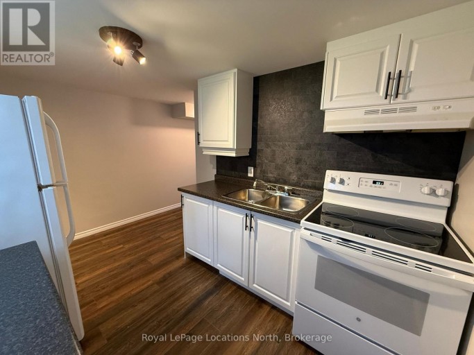 LOWER - 51 RAGLAN STREET, Collingwood, Ontario, L9Y4Y6