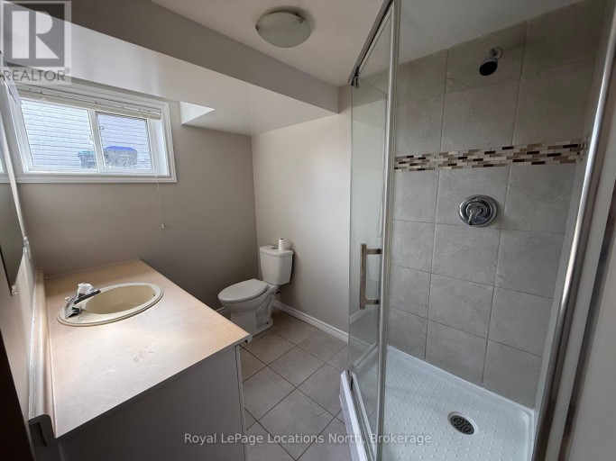 LOWER - 51 RAGLAN STREET, Collingwood, Ontario, L9Y4Y6