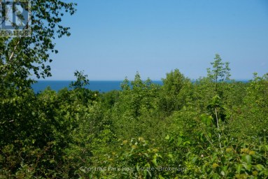 137 39TH SIDE ROAD Blue Mountains Ontario photo 22