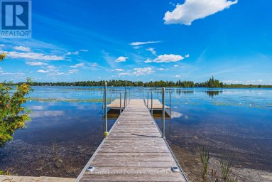 8 EWEN STREET Kawartha Lakes (Carden) Ontario photo 48