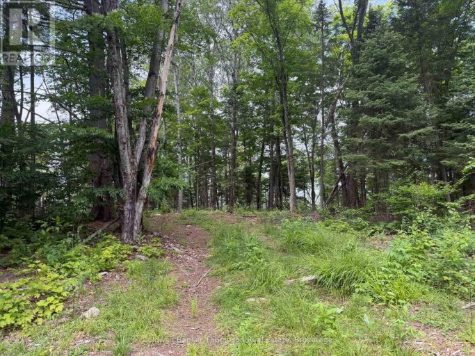 Lot 10 Con 3 Gurd Twp Rye Road/granite Hill Road, Nipissing, Ontario (id X13696102)