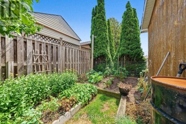 37 SAINT LUCIE DRIVE Toronto (Humbermede) Ontario photo 35