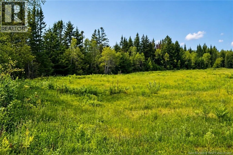 Center Avenue, Pennfield, New Brunswick, E5H2K4