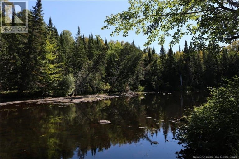 47 Acres North Barnaby Road, Miramichi, New Brunswick, E1N6G4