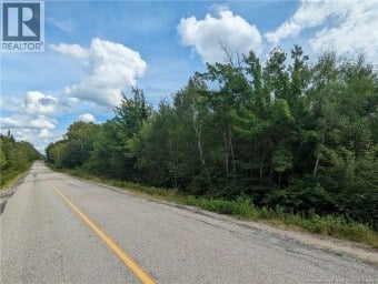 47 Acres North Barnaby Road Miramichi New Brunswick photo 4
