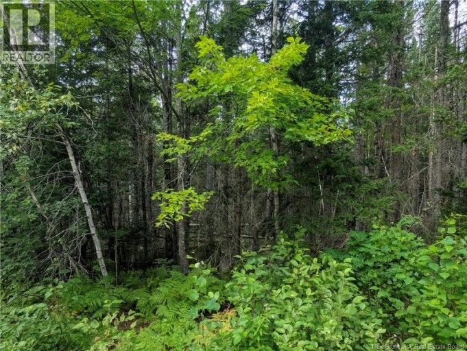 47 Acres North Barnaby Road, Miramichi, New Brunswick, E1N6G4