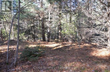 3 PARKER BAY ROAD Whitestone Ontario photo 1