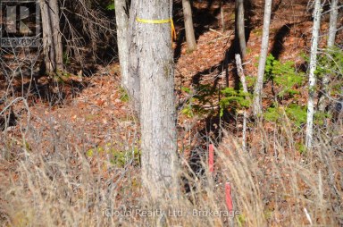 3 PARKER BAY ROAD Whitestone Ontario photo 12
