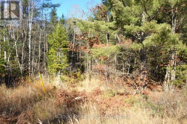 3 PARKER BAY ROAD Whitestone Ontario photo 16
