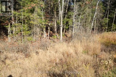 3 PARKER BAY ROAD Whitestone Ontario photo 17