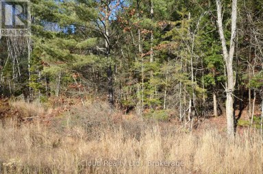 3 PARKER BAY ROAD Whitestone Ontario photo 19