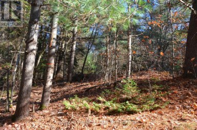 3 PARKER BAY ROAD Whitestone Ontario photo 2