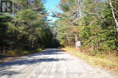 3 PARKER BAY ROAD Whitestone Ontario photo 22