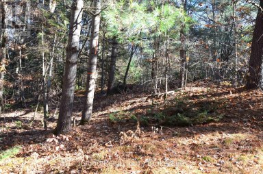 3 PARKER BAY ROAD Whitestone Ontario photo 25