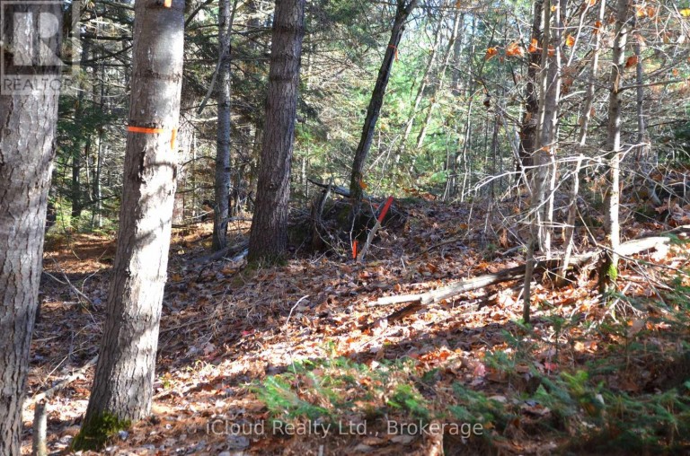 3 PARKER BAY ROAD, Whitestone, Ontario, P0A1G0