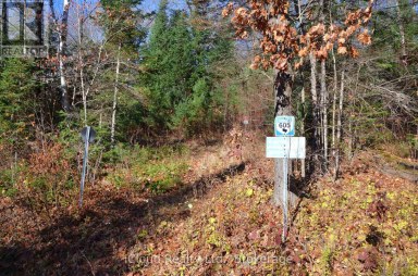 3 PARKER BAY ROAD Whitestone Ontario photo 39